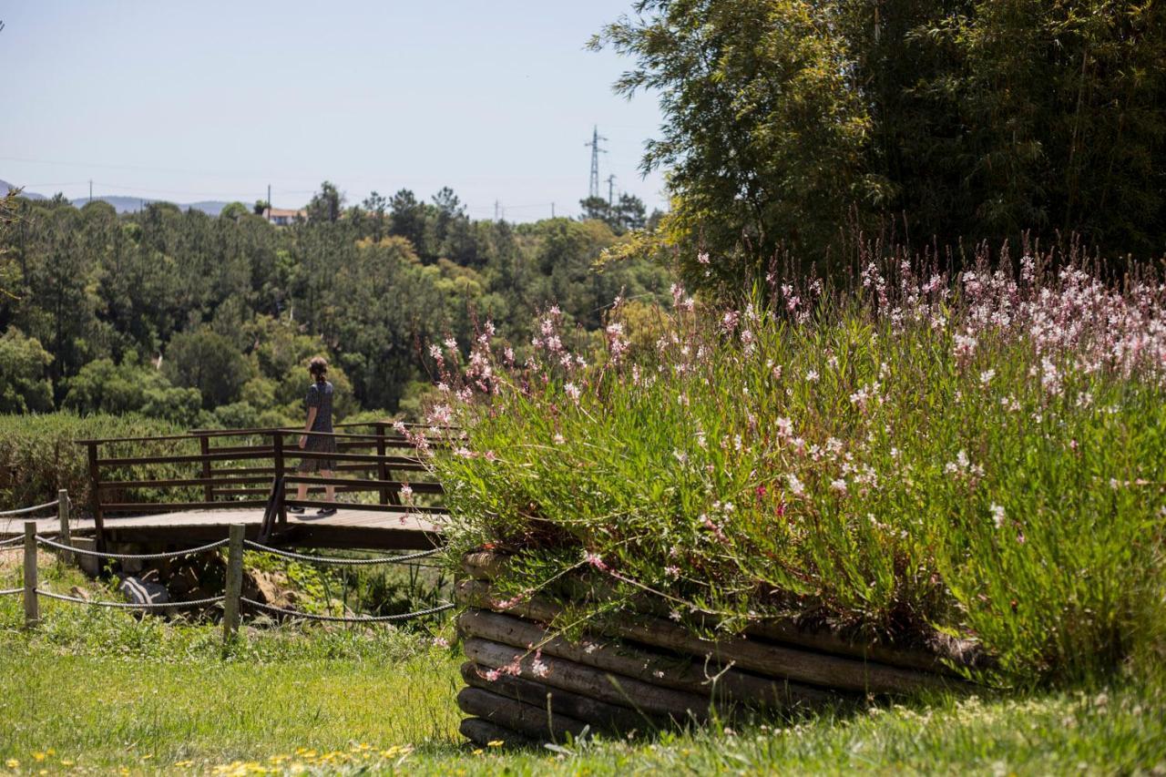 Herdade Do Freixial - Turismo Rural Вила-Нова-де-Мильфонт Экстерьер фото